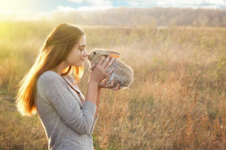Bien-être animal animal care academy
