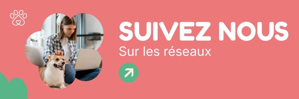 Réseaux sociaux Animal Care Academy